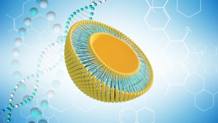 Advanced Drug Delivery and Bioavailability Platforms